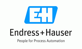 Endress + Hauser