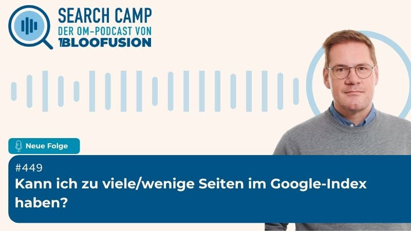 Kann ich zu viele/wenige Seiten im Google-Index haben?